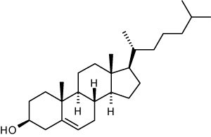 Štruktúra molekuly cholesterolu