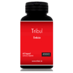 tribul erekcia tribulus advance